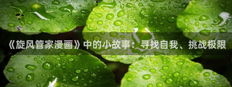 香蕉漫画进：《旋风管家漫画》中的小故事：寻找自我、挑战极限