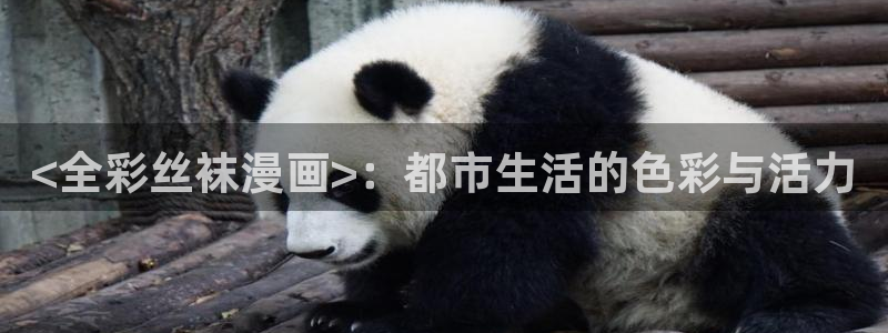 香蕉漫画免费漫画入口在哪里：<全彩丝袜漫画>：都市生活的色彩与活力