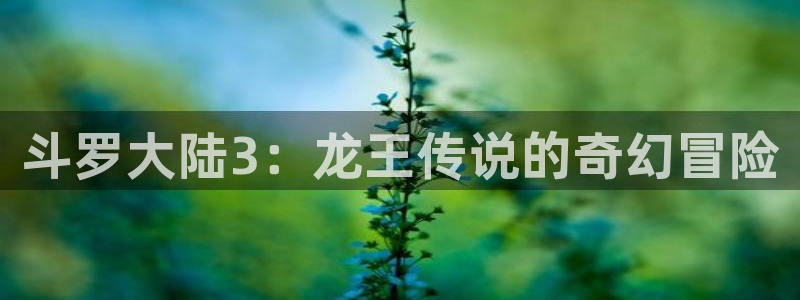 漫画香蕉文化：斗罗大陆3：龙王传说的奇幻冒险