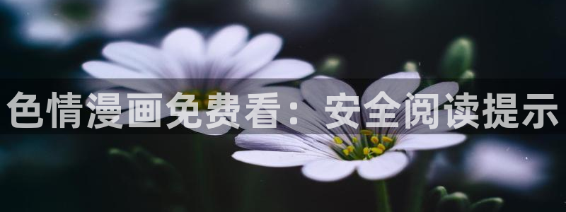 香蕉漫画韩国：色情漫画免费看：安全阅读提示