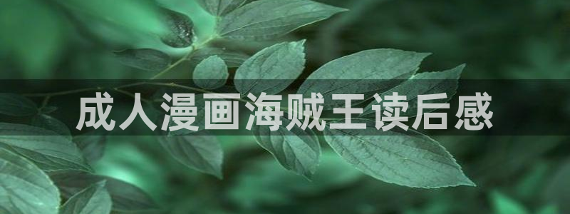 香蕉漫画下拉式免费：成人漫画海贼王读后感